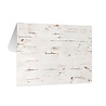 P13 Believe in Fairies Envelopes Mini (5pcs) (P13-BIF-39) (OUTLET) P13 Believe in Fairies Envelopes Mini (5pcs) (P13-BIF-39) (OUTLET)