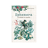 P13 Naturalist Ephemera Flowers and Leaves (13pcs) (P13-NAT-26) (OUTLET) P13 Naturalist Ephemera Flowers and Leaves (13pcs) (P13-NAT-26) (OUTLET)