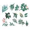 P13 Naturalist Ephemera Flowers and Leaves (13pcs) (P13-NAT-26) (OUTLET) P13 Naturalist Ephemera Flowers and Leaves (13pcs) (P13-NAT-26) (OUTLET)