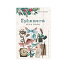 P13 Naturalist Ephemera Bits & Pieces (13pcs) (P13-NAT-33) (OUTLET) P13 Naturalist Ephemera Bits & Pieces (13pcs) (P13-NAT-33) (OUTLET)