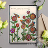 Katkin Krafts Dance With Dahlias A5 Clear Stamp Set (KK0061) (OUTLET) Katkin Krafts Dance With Dahlias A5 Clear Stamp Set (KK0061) (OUTLET)