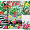 Decorer Tropical Madness 8x8 Inch Paper Pack (DECOR-B37-435) (OUTLET) Decorer Tropical Madness 8x8 Inch Paper Pack (DECOR-B37-435) (OUTLET)