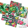 Decorer Tropical Madness 8x8 Inch Paper Pack (DECOR-B37-435) (OUTLET) Decorer Tropical Madness 8x8 Inch Paper Pack (DECOR-B37-435) (OUTLET)