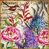 Decorer From my Garden 8x8 Inch Paper Pack (DECOR-B38-436) (OUTLET) Decorer From my Garden 8x8 Inch Paper Pack (DECOR-B38-436) (OUTLET)