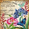 Decorer From my Garden 8x8 Inch Paper Pack (DECOR-B38-436) (OUTLET) Decorer From my Garden 8x8 Inch Paper Pack (DECOR-B38-436) (OUTLET)