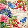 Decorer From my Garden 8x8 Inch Paper Pack (DECOR-B38-436) (OUTLET) Decorer From my Garden 8x8 Inch Paper Pack (DECOR-B38-436) (OUTLET)