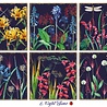 Decorer Nighttime 8x8 Inch Paper Pack (DECOR-B39-437) (OUTLET) Decorer Nighttime 8x8 Inch Paper Pack (DECOR-B39-437) (OUTLET)