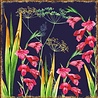 Decorer Nighttime 8x8 Inch Paper Pack (DECOR-B39-437) (OUTLET) Decorer Nighttime 8x8 Inch Paper Pack (DECOR-B39-437) (OUTLET)