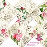 Decorer Drawing Flowers 8x8 Inch Paper Pack (DECOR-B43-441) (OUTLET) Decorer Drawing Flowers 8x8 Inch Paper Pack (DECOR-B43-441) (OUTLET)