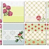Decorer Peony 6x6 Inch Paper Pack (C21-223) (OUTLET) Decorer Peony 6x6 Inch Paper Pack (C21-223) (OUTLET)