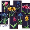 Decorer Nighttime Mini Paper Pack (DECOR-M100) (OUTLET) Decorer Nighttime Mini Paper Pack (DECOR-M100) (OUTLET)