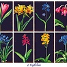 Decorer Nighttime Mini Paper Pack (DECOR-M100) (OUTLET) Decorer Nighttime Mini Paper Pack (DECOR-M100) (OUTLET)