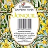 Decorer Jonquil Mini Paper Pack (DECOR-M103) (OUTLET) Decorer Jonquil Mini Paper Pack (DECOR-M103) (OUTLET)