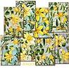 Decorer Jonquil Mini Paper Pack (DECOR-M103) (OUTLET) Decorer Jonquil Mini Paper Pack (DECOR-M103) (OUTLET)