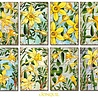 Decorer Jonquil Mini Paper Pack (DECOR-M103) (OUTLET) Decorer Jonquil Mini Paper Pack (DECOR-M103) (OUTLET)