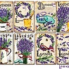 Decorer Lavender Mini Paper Pack (DECOR-M115) (OUTLET) Decorer Lavender Mini Paper Pack (DECOR-M115) (OUTLET)
