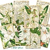 Decorer White Flower Mini Paper Pack (DECOR-M120) (OUTLET) Decorer White Flower Mini Paper Pack (DECOR-M120) (OUTLET)