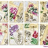 Decorer Between the Lines Mini Paper Pack (DECOR-M131) (OUTLET) Decorer Between the Lines Mini Paper Pack (DECOR-M131) (OUTLET)