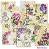 Decorer Between the Lines Mini Paper Pack (DECOR-M131) (OUTLET) Decorer Between the Lines Mini Paper Pack (DECOR-M131) (OUTLET)