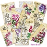 Decorer Between the Lines Mini Paper Pack (DECOR-M131) (OUTLET) Decorer Between the Lines Mini Paper Pack (DECOR-M131) (OUTLET)