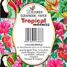 Decorer Tropical Madness Mini Paper Pack (DECOR-M92) (OUTLET) Decorer Tropical Madness Mini Paper Pack (DECOR-M92) (OUTLET)