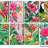 Decorer Tropical Madness Mini Paper Pack (DECOR-M92) (OUTLET) Decorer Tropical Madness Mini Paper Pack (DECOR-M92) (OUTLET)