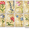 Decorer Herbarium Mini Paper Pack (DECOR-M94) (OUTLET) Decorer Herbarium Mini Paper Pack (DECOR-M94) (OUTLET)