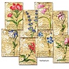 Decorer Herbarium Mini Paper Pack (DECOR-M94) (OUTLET) Decorer Herbarium Mini Paper Pack (DECOR-M94) (OUTLET)
