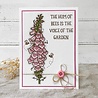 Creative Expressions Sam Poole Clear Stamp A6 Foxglove and Bees (CEC998) (OUTLET) Creative Expressions Sam Poole Clear Stamp A6 Foxglove and Bees (CEC998) (OUTLET)