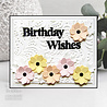 Creative Expressions Sue Wilson Craft Die Block Sentiments Birthday Wishes (CED4466) (OUTLET) Creative Expressions Sue Wilson Craft Die Block Sentiments Birthday Wishes (CED4466) (OUTLET)