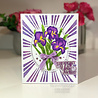 Creative Expressions Sue Wilson StampCuts Iris (CEDSC012) (OUTLET) Creative Expressions Sue Wilson StampCuts Iris (CEDSC012) (OUTLET)