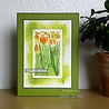 Creative Expressions Jamie Rodgers Stencil Tulip Fields (CEST077) (OUTLET) Creative Expressions Jamie Rodgers Stencil Tulip Fields (CEST077) (OUTLET)