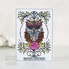 Creative Expressions Designer Boutique Clear Stamp A6 Owl Be There For Twit Twoo (UMSDB084) (OUTLET) Creative Expressions Designer Boutique Clear Stamp A6 Owl Be There For Twit Twoo (UMSDB084) (OUTLET)