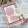 Creative Expressions Designer Boutique Clear Stamp A6 Fairy Wishes (UMSDB122) (OUTLET) Creative Expressions Designer Boutique Clear Stamp A6 Fairy Wishes (UMSDB122) (OUTLET)
