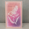 Creative Expressions Designer Boutique Clear Stamp A6 Daisy Dreams (UMSDB125) (OUTLET) Creative Expressions Designer Boutique Clear Stamp A6 Daisy Dreams (UMSDB125) (OUTLET)