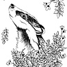 Creative Expressions Designer Boutique Clear Stamp A6 Floral Wishes (UMSDB154) (OUTLET) Creative Expressions Designer Boutique Clear Stamp A6 Floral Wishes (UMSDB154) (OUTLET)