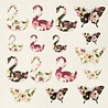Crafter's Companion Bloom with Grace 12x12 Inch Die-Cut Topper Pad (NIT-BWG-TOP12) (OUTLET) Crafter's Companion Bloom with Grace 12x12 Inch Die-Cut Topper Pad (NIT-BWG-TOP12) (OUTLET)