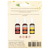 American Crafts Handmade Paper Dyes Reds (3x5oz) (34030775) (OUTLET) American Crafts Handmade Paper Dyes Reds (3x5oz) (34030775) (OUTLET)