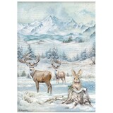 Stamperia The Owl's House A4 Rice Paper Wildlife (DFSA41055)