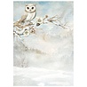 Stamperia The Owl's House A6 Rice Paper Backgrounds (DFSAK6044) Stamperia The Owl's House A6 Rice Paper Backgrounds (DFSAK6044)