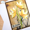 Elizabeth Craft Designs Soft Finish 8.5x11 Inch Cardstock (PSF144) Elizabeth Craft Designs Soft Finish 8.5x11 Inch Cardstock (PSF144)