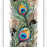Studio Light Peacock Feather Grunge Stamps (SL-GR-STAMP225) (OUTLET) Studio Light Peacock Feather Grunge Stamps (SL-GR-STAMP225) (OUTLET)