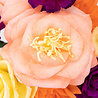 Crafter's Companion Say It With Flowers Crepe Paper Flower Making Kit (S-SIWF-CPFMKIT) (OUTLET) Crafter's Companion Say It With Flowers Crepe Paper Flower Making Kit (S-SIWF-CPFMKIT) (OUTLET)