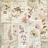 Stamperia A4 Rice Paper Pressed Flowers (DFSA4440) Stamperia A4 Rice Paper Pressed Flowers (DFSA4440)