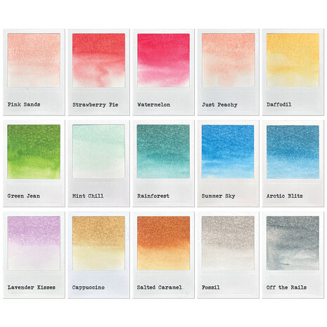 Ranger 49 & Market Dye Ink Pads BUNDLE