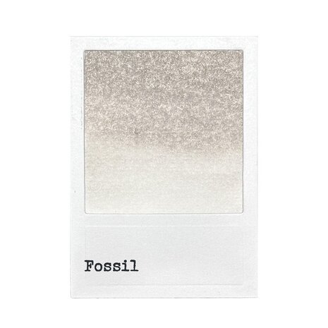 Ranger 49 & Market Dye Ink Pad Fossil (FMP92391) Ranger 49 & Market Dye Ink Pad Fossil (FMP92391)