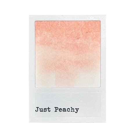 Ranger 49 & Market Dye Ink Pad Just Peachy (FMP92414) Ranger 49 & Market Dye Ink Pad Just Peachy (FMP92414)