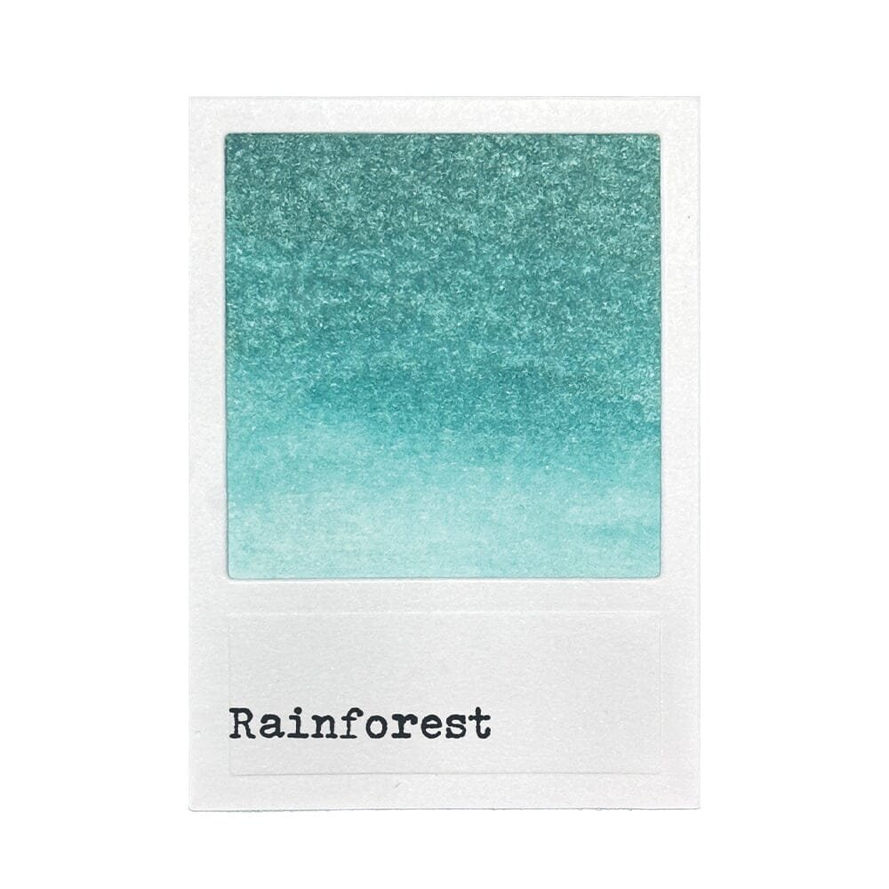 Ranger 49 & Market Dye Ink Reinkers Rainforest (FMI92612)