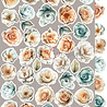 Craft O'Clock PRE-ORDER Sprites of Harmony Extras Set Flowers (CC-C78-SH-11) Craft O'Clock PRE-ORDER Sprites of Harmony Extras Set Flowers (CC-C78-SH-11)