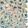 Craft O'Clock PRE-ORDER Sprites of Harmony Extras Set Flowers (CC-C78-SH-11) Craft O'Clock PRE-ORDER Sprites of Harmony Extras Set Flowers (CC-C78-SH-11)